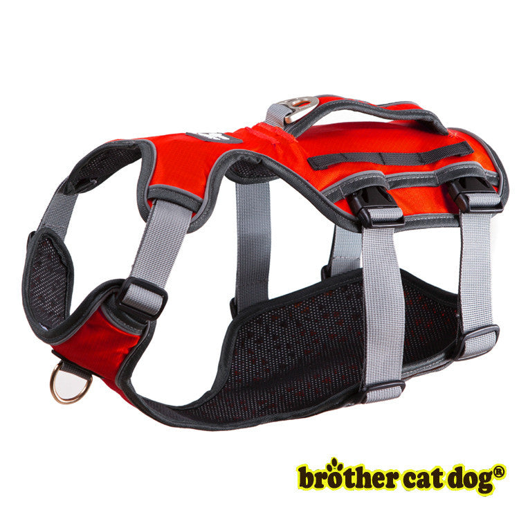 Cool Mesh Pet Harness & Leash Combo