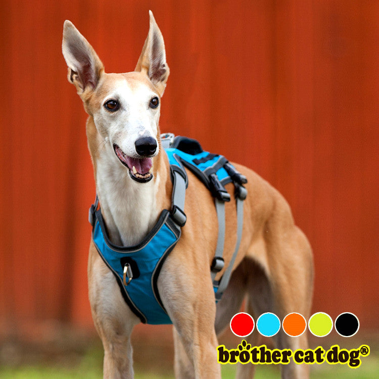 Cool Mesh Pet Harness & Leash Combo