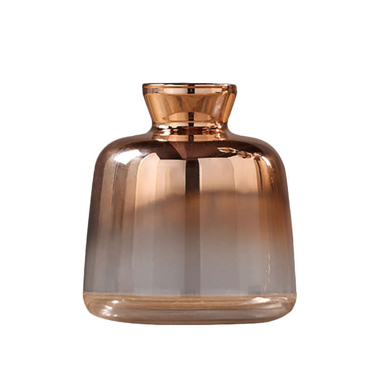 Nordic Modern Gold-Plated Glass Vase for Home Decor