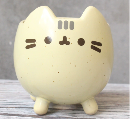 Charming Cat Succulent Planter