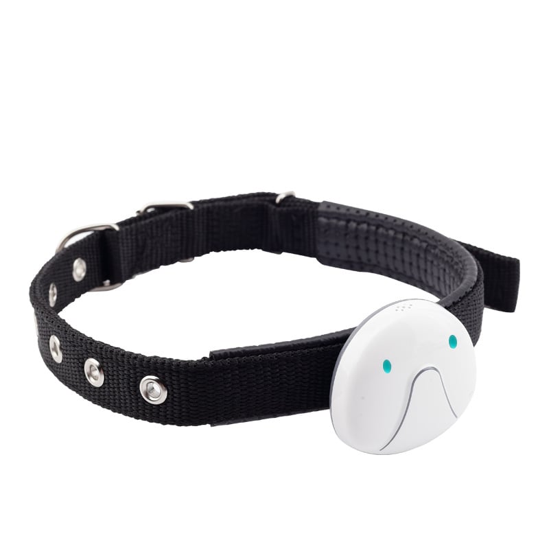 Mini Smart Wearable Locator for Pets