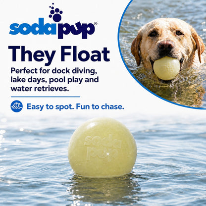 Glow-in-the-Dark Glitter Dog Balls, 2-Pack