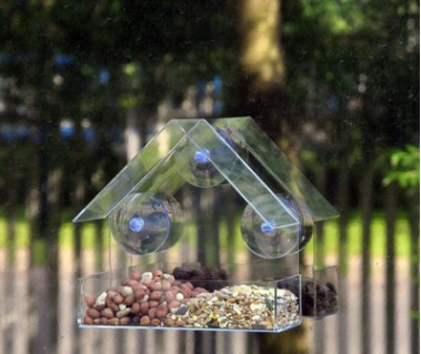 Sleek Acrylic Bird Feeder & Cage