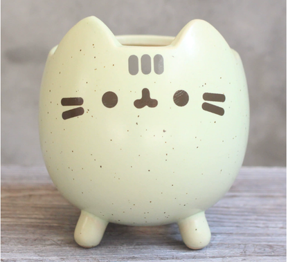 Charming Cat Succulent Planter