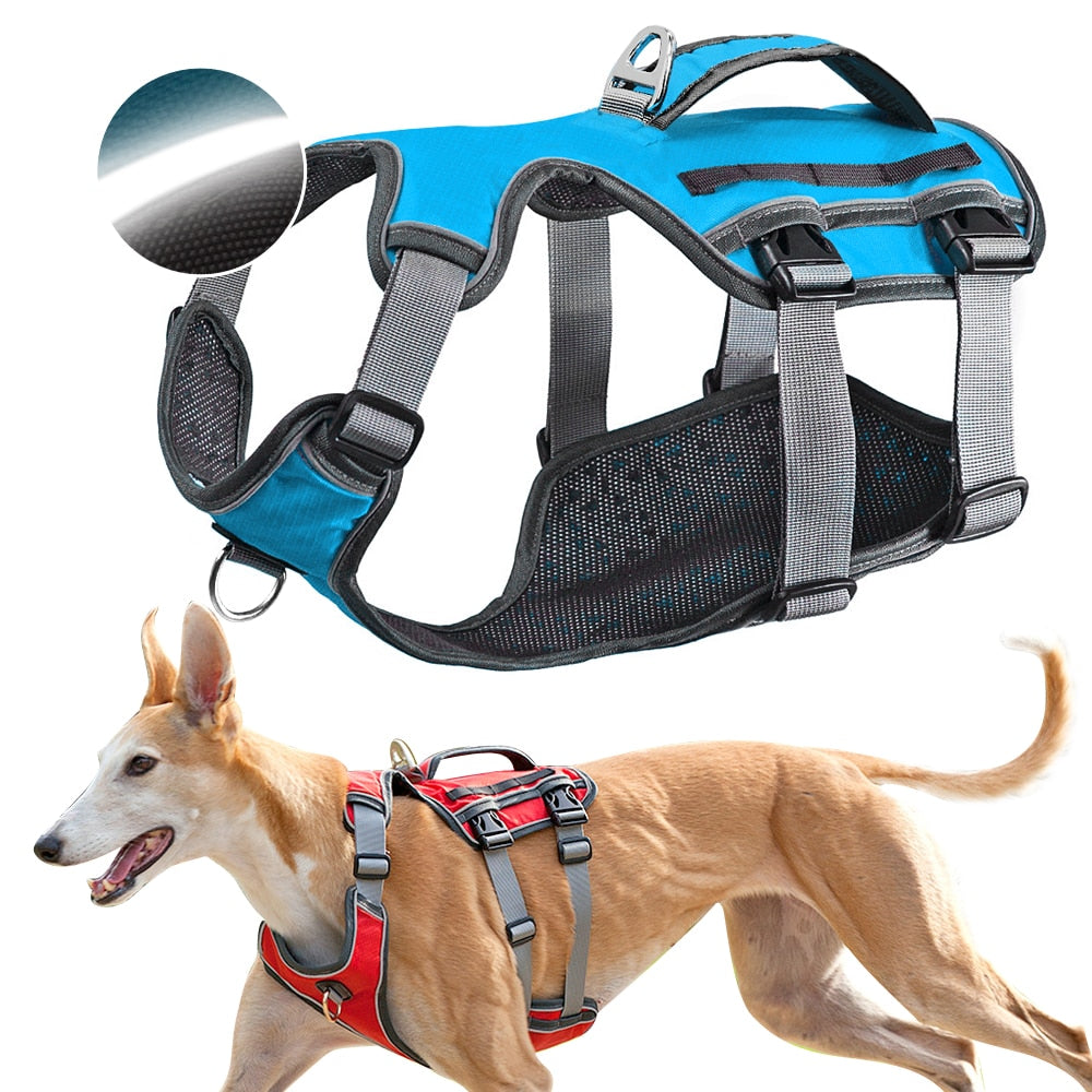 Cool Mesh Pet Harness & Leash Combo