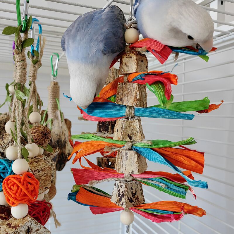Aviary Play Essentials: Chew & Decor