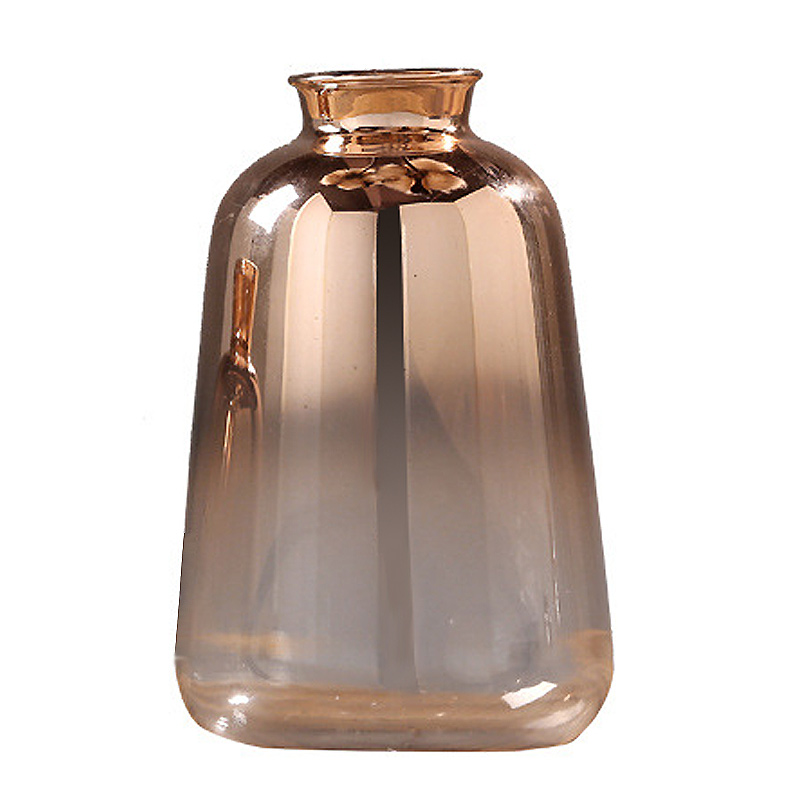 Nordic Modern Gold-Plated Glass Vase for Home Decor