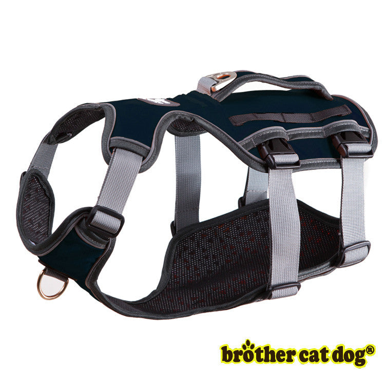 Cool Mesh Pet Harness & Leash Combo