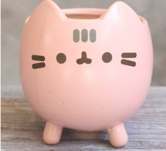 Charming Cat Succulent Planter
