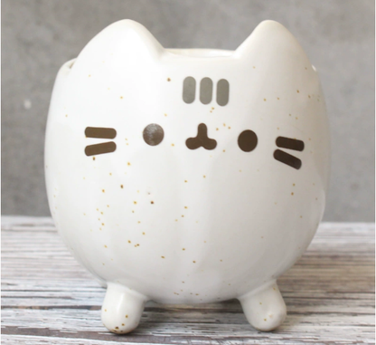 Charming Cat Succulent Planter