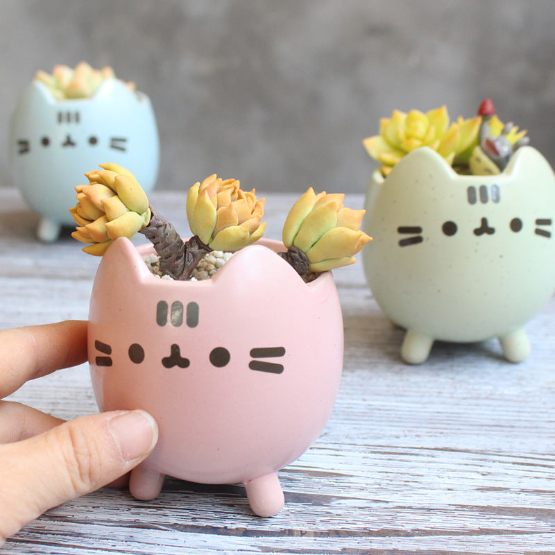 Charming Cat Succulent Planter